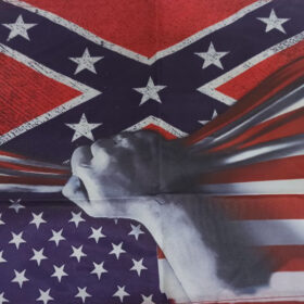 The Confederate Battle Flag HULL270611